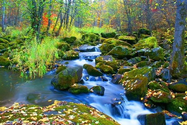 伊春網(wǎng)站建設(shè)美麗(伊春信息網(wǎng)免費(fèi)發(fā)布)