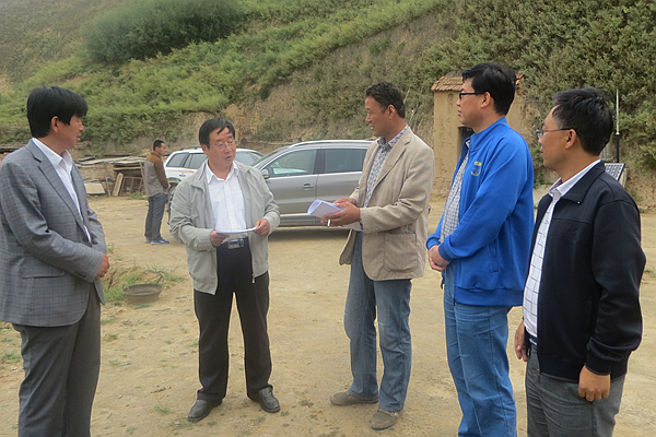 環(huán)縣網(wǎng)站建設(shè)(環(huán)縣城建局官網(wǎng))