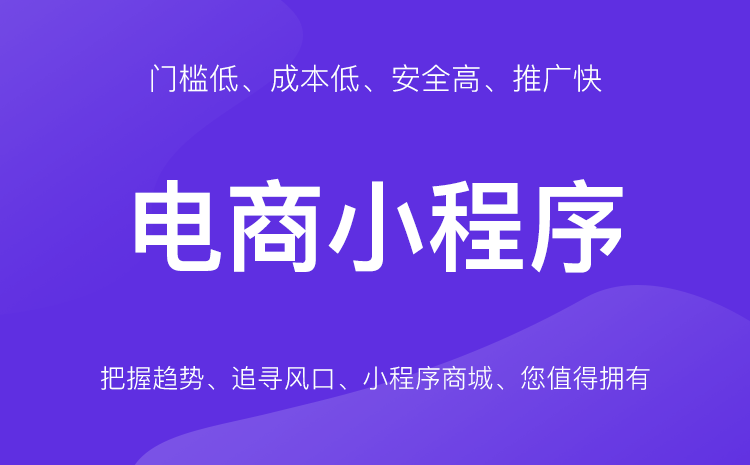 什么定制小程序開發(fā)(小程序定制開發(fā)什么意思)