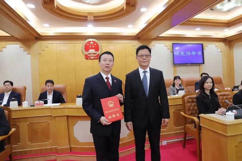 茂名市互聯網新聞(茂名市互聯網新聞網)