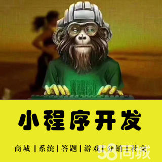 昌吉小程序制作公司開發(制作小程序軟件公司)