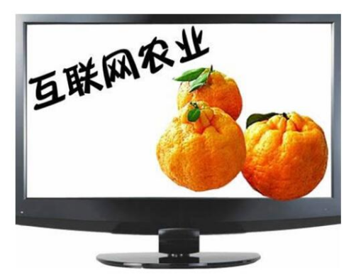 農村互聯網農業新聞(農村互聯網農業新聞稿件)