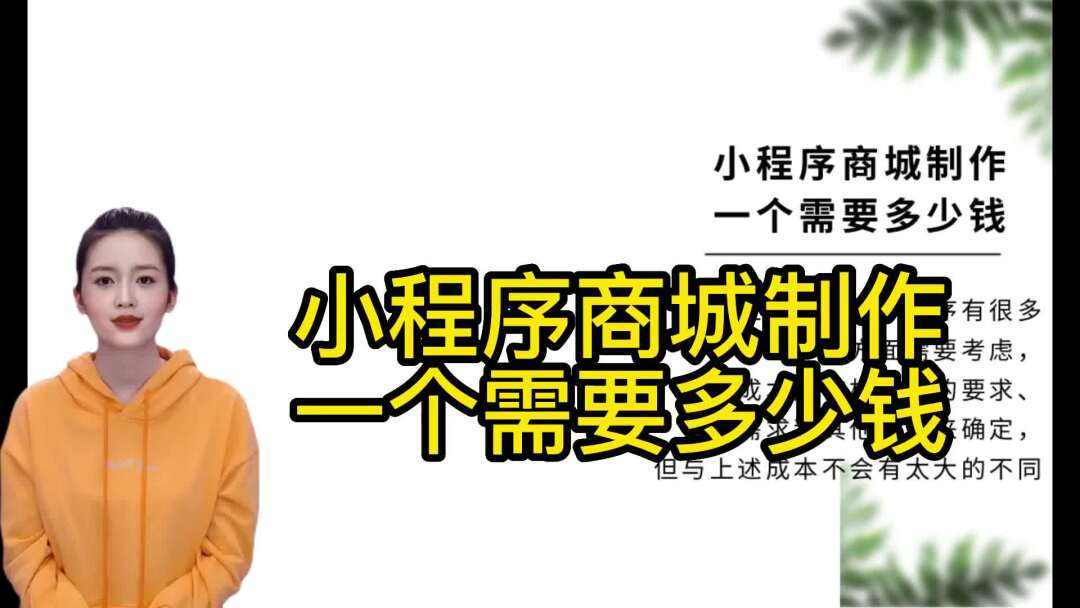 開發(fā)一小程序要多少錢(小程序開發(fā)大概需要多少錢)