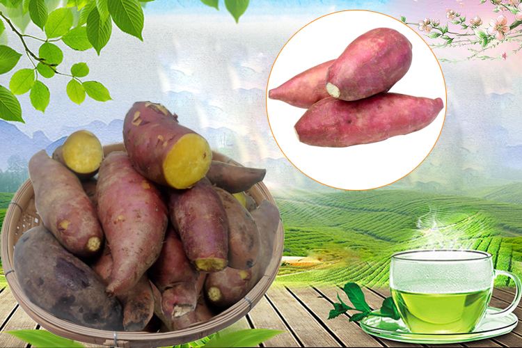 高州特產(chǎn)網(wǎng)站建設(shè)(高州百姓網(wǎng)免費(fèi)發(fā)布信息網(wǎng))