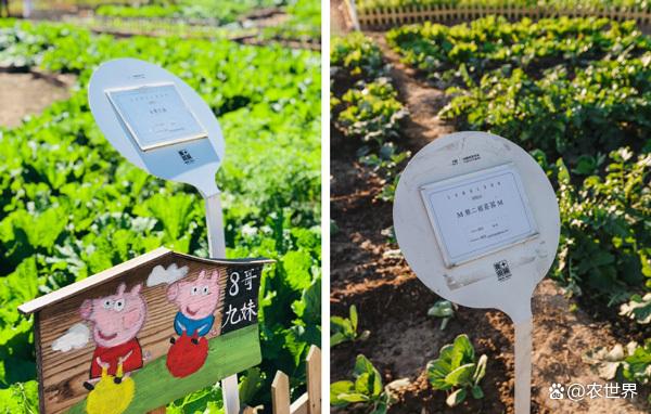 運(yùn)城智慧農(nóng)場(chǎng)小程序開發(fā)(運(yùn)城智慧農(nóng)場(chǎng)小程序開發(fā)方案)