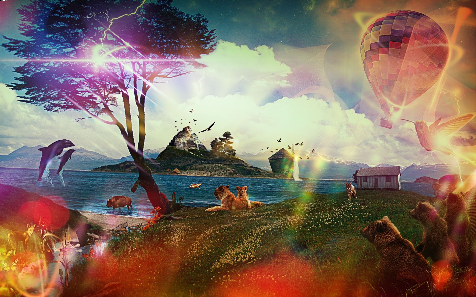 動物世界互聯(lián)網(wǎng)新聞頻道(動物世界這個平臺上新聞聯(lián)播)