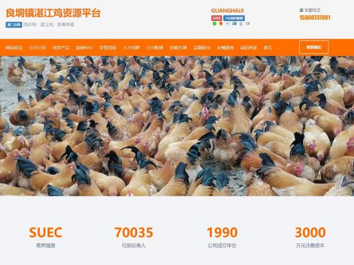 肇慶的網(wǎng)站建設(shè)(肇慶網(wǎng)站建設(shè)維護)