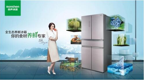 容聲冰箱網站建設(容聲冰箱官網商城下載)