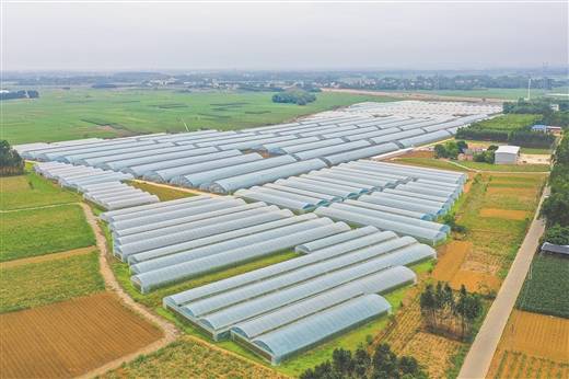 新聞晨報農業互聯網(農業新聞網微信公眾號)