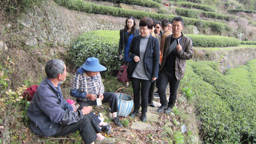 福鼎西陽建設(shè)新聞網(wǎng)站(福鼎西陽新村建設(shè)最新新聞)