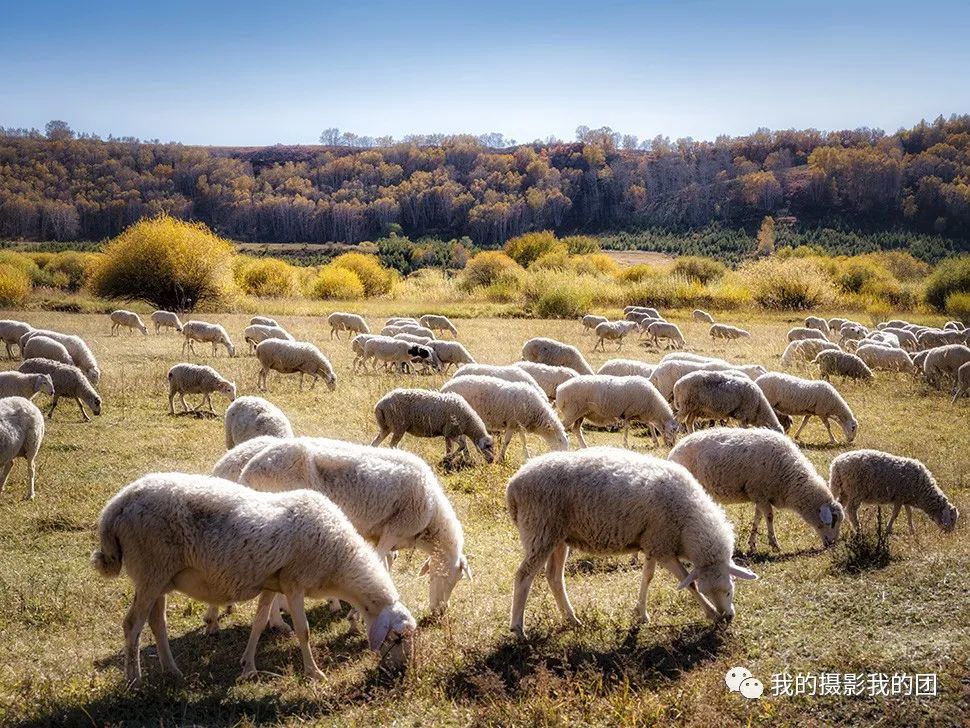 中國(guó)互聯(lián)網(wǎng)新聞中心趙萱(中國(guó)互聯(lián)網(wǎng)新聞中心趙萱主任)