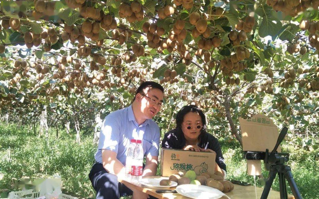 眉縣互聯網新聞網站首頁(眉縣互聯網新聞網站首頁查詢)