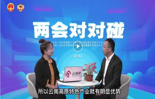 關于兩會電商互聯網新聞的信息