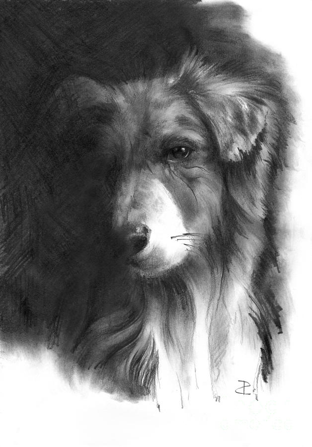 娛樂新聞網(wǎng)站建設(shè)論文范文(娛樂新聞網(wǎng)站建設(shè)論文范文大全)