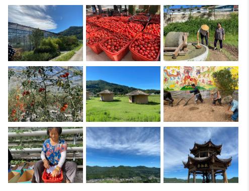 閬中互聯網新聞(閬中互聯網新聞網)