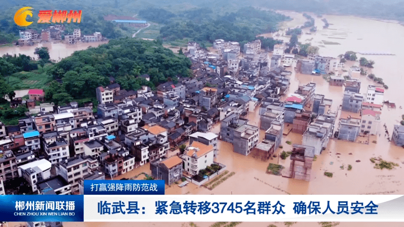 臨武縣互聯網新聞聯播視頻(臨武縣互聯網新聞聯播視頻播放)