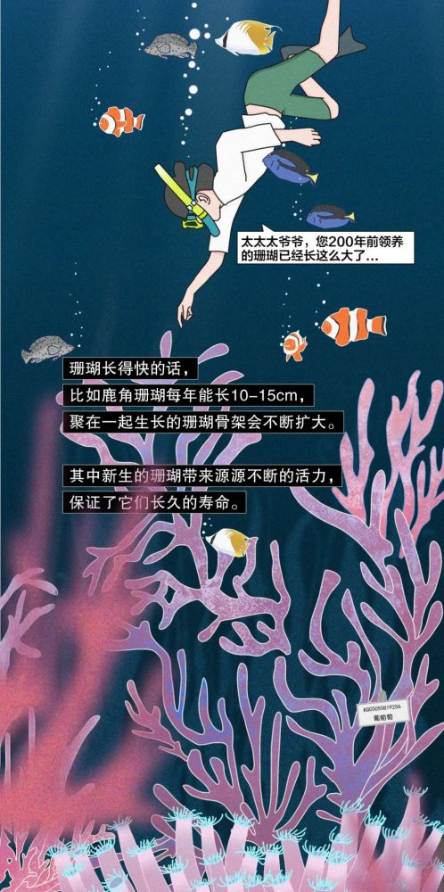 互聯網海洋新聞(海洋網聯船務中國有限公司)