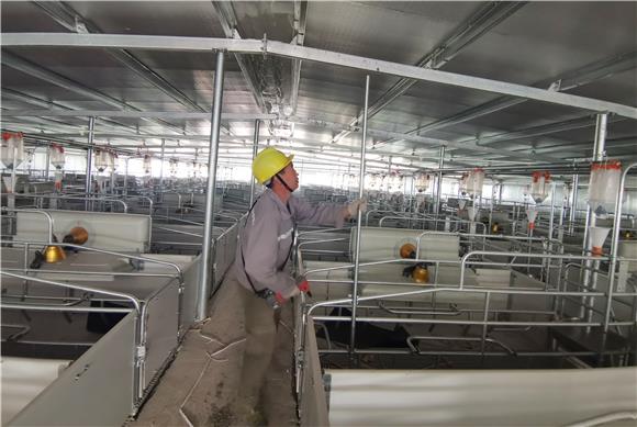 把豬場(chǎng)搬上互聯(lián)網(wǎng)的新聞(豬場(chǎng)是哪個(gè)互聯(lián)網(wǎng)公司的稱呼)