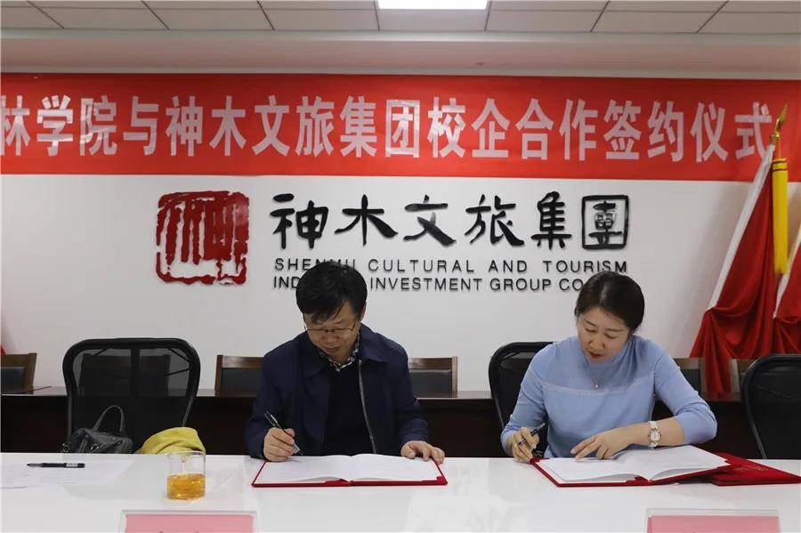 神木網站建設維護(神木官方網站最新消息)