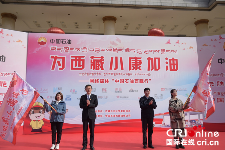 日喀則網(wǎng)站建設條件(日喀則建設網(wǎng)招標信息)