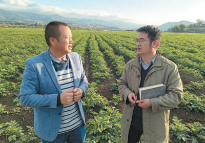 臨滄港網(wǎng)站建設(shè)(2020年臨滄項(xiàng)目開工計(jì)劃)