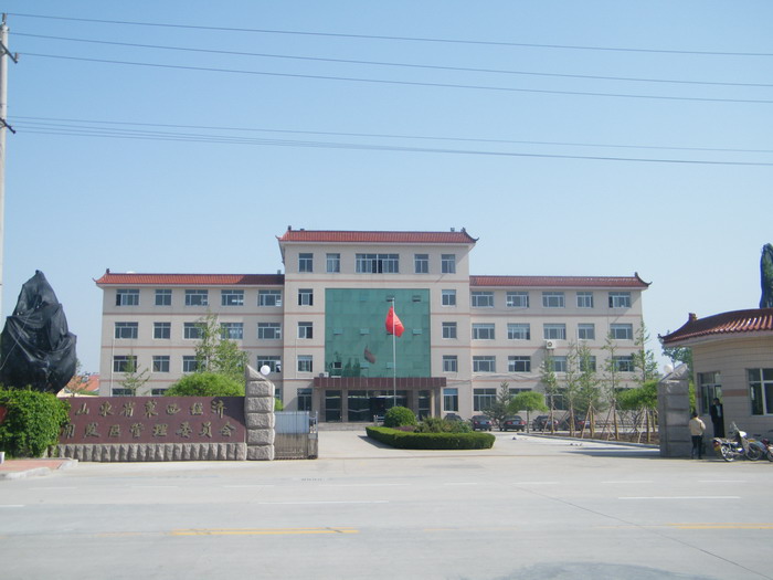 萊西網(wǎng)站建設(萊西在線網(wǎng)信息)