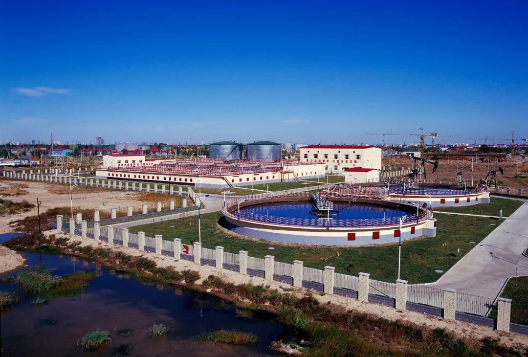 大慶網(wǎng)站建設(shè)的簡單介紹