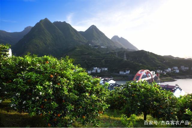 秭歸宜昌網(wǎng)站建設(shè)(秭歸政府門戶網(wǎng)公告)