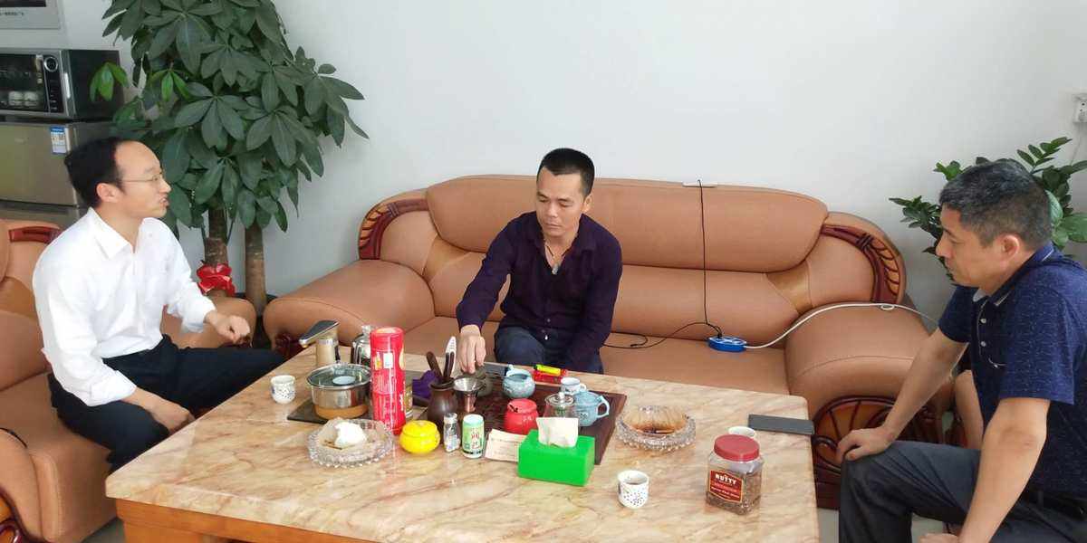 瀝林網站建設最新消息新聞(瀝林網站建設最新消息新聞發布會)