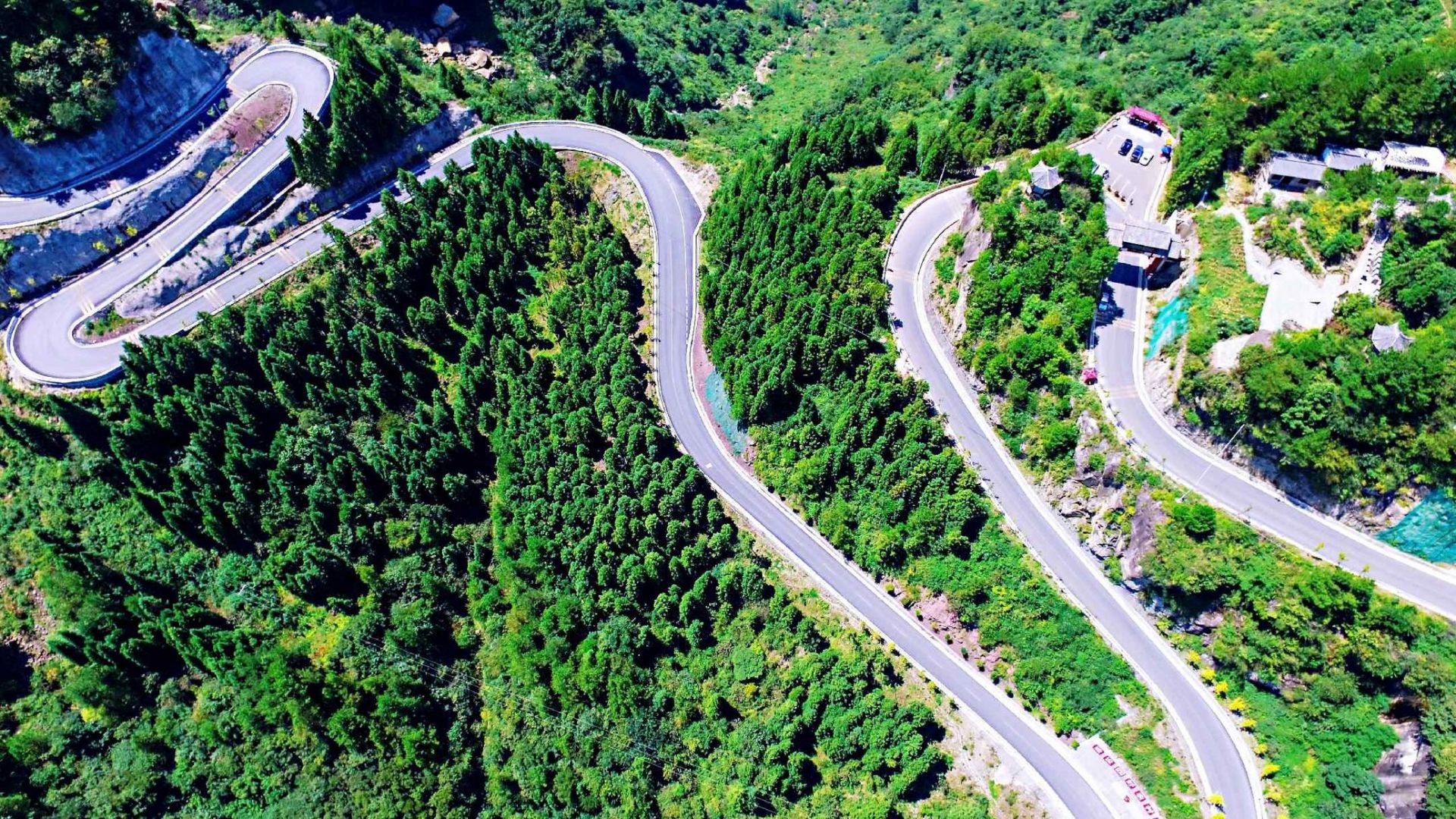 利川新聞網網站建設(湖北利川市新聞網新聞)