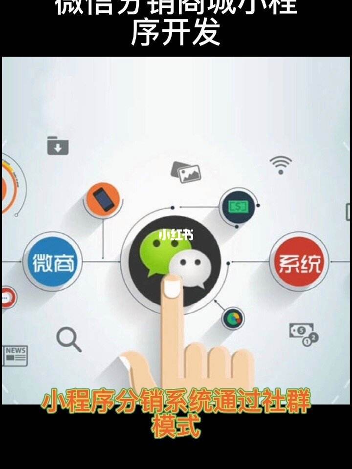 江蘇開發小程序的公司(app 小程序開發公司)