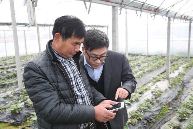 關(guān)于農(nóng)業(yè)互聯(lián)網(wǎng)的新聞(關(guān)于農(nóng)業(yè)互聯(lián)網(wǎng)的新聞?dòng)心男?