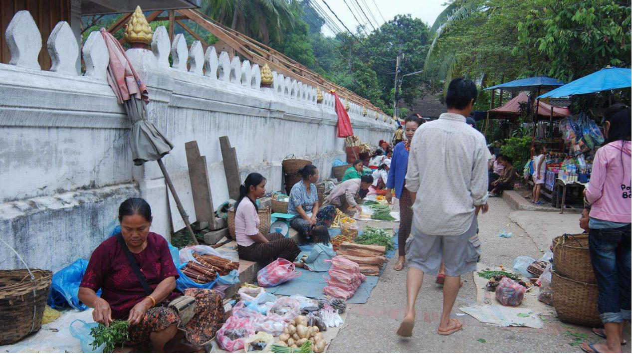 老撾農村網站建設(老撾農村網站建設項目)