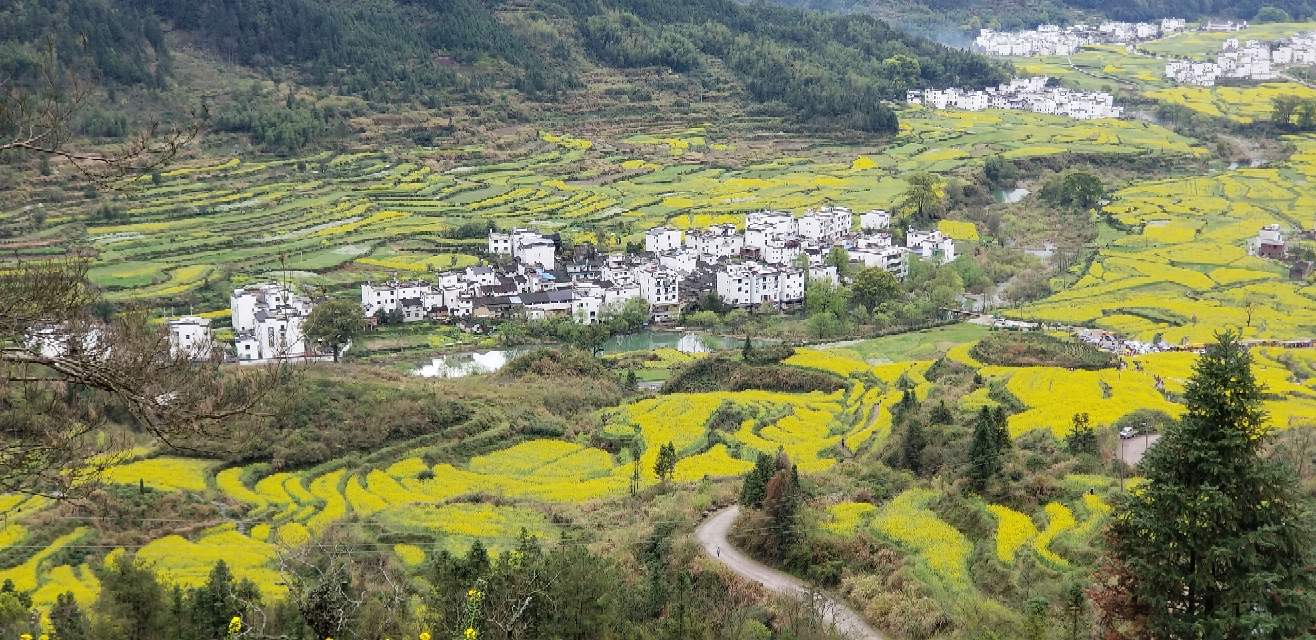 婺源網站建設(婺源建設項目新聞)